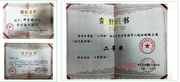 佰富彩-清静购彩大厅官网