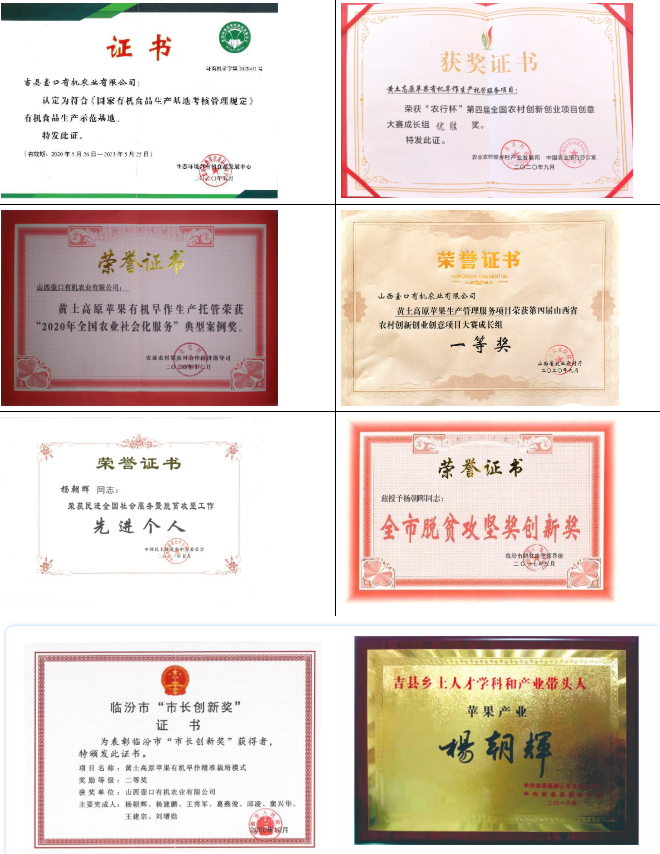 佰富彩-清静购彩大厅官网