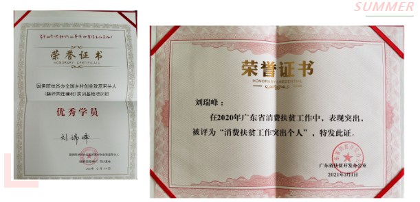 佰富彩-清静购彩大厅官网