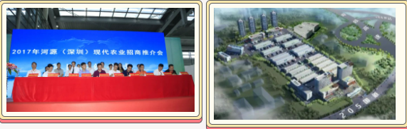 佰富彩-清静购彩大厅官网