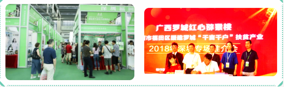 佰富彩-清静购彩大厅官网